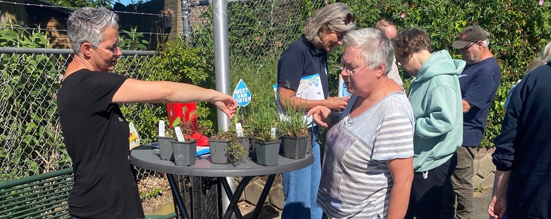 Tegel eruit, plant erin: groene actie in Zuidelijk Molenveld slaat aan