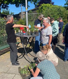 Tegel eruit, plant erin: groene actie in Zuidelijk Molenveld slaat aan