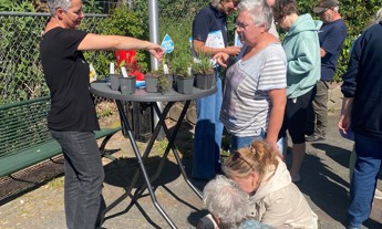 Tegel eruit, plant erin: groene actie in Zuidelijk Molenveld slaat aan